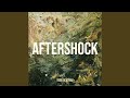 AfterShock