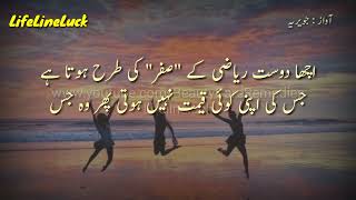 Friendship Quotes In Urdu | Dosti Pe Aqwal E Zareen | LifeLineLuck