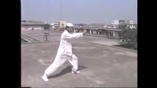 心意六合拳傳人張永貴先生演練魯山教內四把捶 #martialarts #kungfu