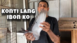 KONTI LANG TINATAGO KO PARA PAG MAY KUMUHA PWEDENG MANALO |Reggie Cruz Loft & Aviary #reggiecruzloft