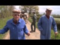 Saint-Jean-de-Mont, les derniers paysans qui chantent à l'oreille des boeufs, Midi en France