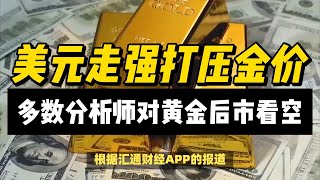 (11/11/2024)金价创逾五个月最大单周跌幅，多数分析师看空后市 | #黄金 #原油 #美元指数 #美元 #金价