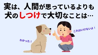 犬のしつけに関する雑学 #犬 #雑学 #聞き流し #睡眠 #癒し #犬のしつけ #犬のいる暮らし