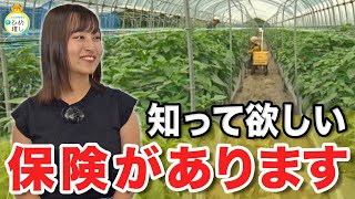 【国の保険制度】掛金や保険料の原則50％が補助される保険があるって知ってた？