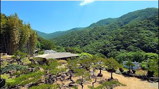 13대째 살면서 산속에 정원을 만드는 자연인_마이다스의 손mountain house