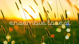 ３つのわらべうた／ensemble forest／アンサンブルフォレスト