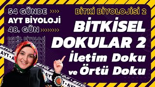 48) Bitkisel Dokular 2 | Bitki Biyolojisi | 12. Sınıf Biyoloji | 2024 AYT Biyoloji 48. Gün