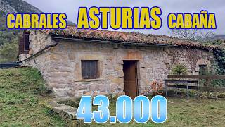 CABAÑA 🏡​ en CABRALES🧀 43.000 € | 🌳ASTURIAS🌳