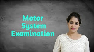 Motor system examination