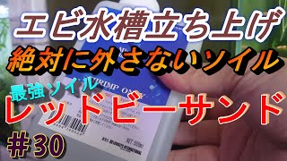 【シュリンプ】#30 これはすべらない！？初心者でも安定の神ソイルでエビ水槽立ち上げ！