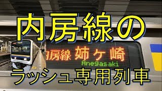 【1日2本のレア運用】内房線の姉ヶ崎行きに乗ってみた。千葉→姉ヶ崎　乗車記