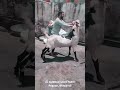 bakre ne maara zor se bakra biggoats funny shorts share trending