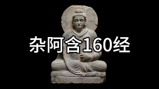 杂阿含160经，中文白话翻译（160）