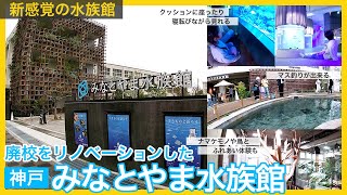 廃校をリノベーションした神戸「みなとやま水族館」。ニジマス釣りが出来たり、クッションに座ったり寝転びながら水槽を見る新感覚の水族館。ナマケモノやカメ、ウズラとのふれあい体験。ドクターフィッシュも。