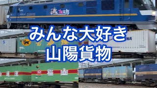 2021.10.30 みんな大好き1055レ まだまだ綺麗な335号機と大型多数