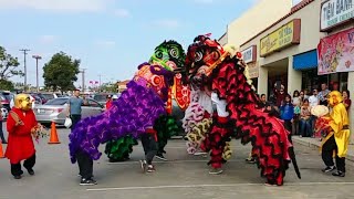 Tết (Lion Dance) - Vietnamese New Year 2015 - Bolsa