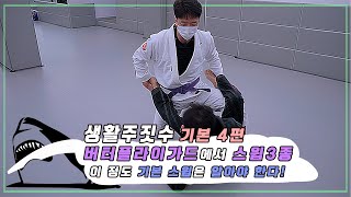 격투창고 기본 4편 - 버터플라이가드에서 스윕3종