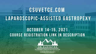 Laparoscopic-Assisted Gastropexy October 14-15, 2021