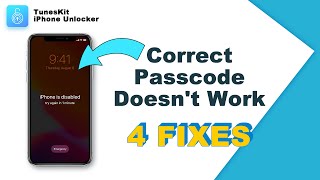 How to Fix iPhone Enter Correct Passcode Doesn't Work｜Won't Accept Correct Passcode#iphoneunlock