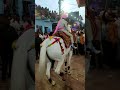 sangod nahan ghodi dance 2022 सांगोद के ऐतिहासिक न्हाण सांगोद भारत के राजस्थान राज्य के कोटा