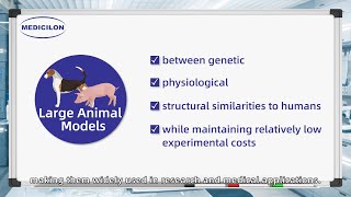 Large Animal Models  Essential Tools in a wide range of disease research