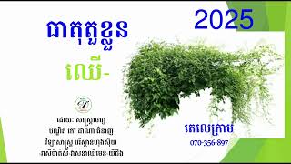 រាសី ធាតុថ្ងៃកើត ឈើយីន ក្នុងឆ្នាំ 2025