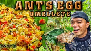 EP876-P2 - Ants Eggs Forage and Cook