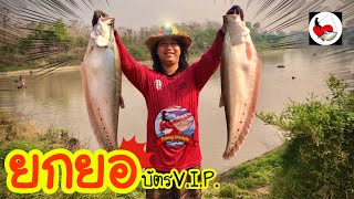 ยกยอ หนองวังธง ►Fishing lifestyle Ep.495