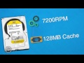 wd re hard drive 60 second break down