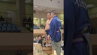 大相撲巡業宝塚場所　案の定　仕掛けてくる玉鷲に堪えられない　富士富士コンビ　#大相撲　#錦富士　#翠富士　#玉鷲 #巡業 #sumo