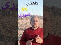 پایین اوردن ecیاشوری چاه ها تا۵٠٠٠m sبایک تکنیک ساده پسته pistachio کشاورزی آموزش آبیاری