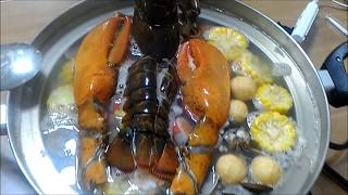 lobster hot pot