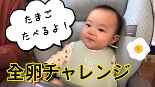 【離乳食74日目】初めての全卵【生後7ヶ月】