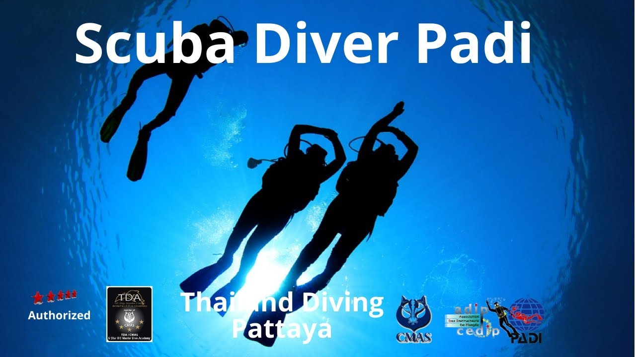 PADI Scuba Diver Beginners Course Is Part Of The PADI Open Water Course ...