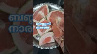 ബബ്ലൂസ് നാരങ്ങ ഇഷ്ടമാണോ#shorts. #fruitslover#