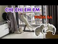 thôn nọ tranh giành vị trí với beo lý và cái kết boong boong | maly.gaugau