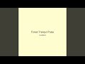 Forest Tranquil Pulse