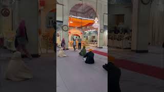 #(ਗੁਰੂਦੁਆਰਾ ਚਰਨ ਕਮਲ ਮਾਛੀਵਾੜਾ ਸਾਹਿਬ)#Japtv#natttv