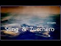 STING & ZUCCHERO  · September