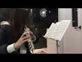 플룻 플루트 연주곡 왕벌의 비행_flight of the bumblebee flute cover