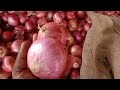 solapur onion market today live 4 हजार भाव झाले