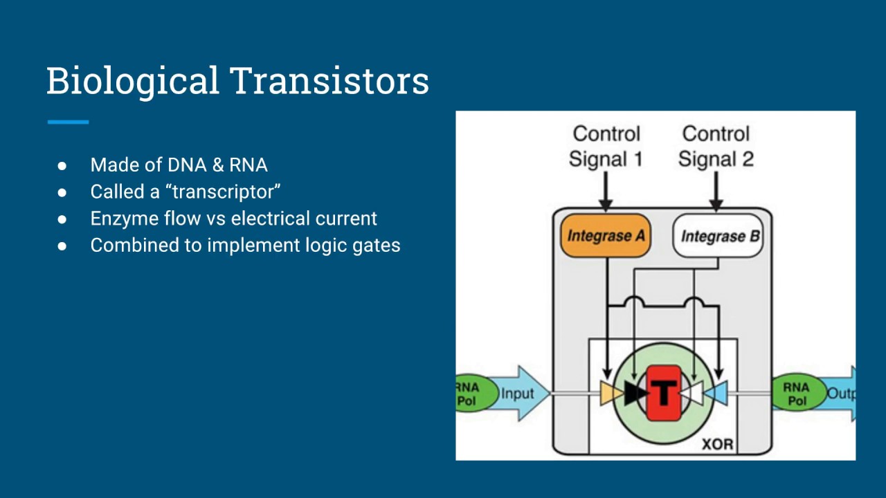 Biological Computing Youtube