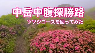 【アウトドア】中岳のミヤマキリシマコース（霧島連山）