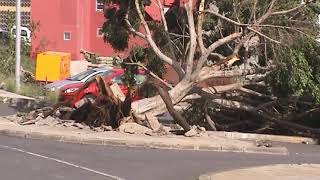 2005 - HURACÁN DELTA EN SANTA CRUZ DE TENERIFE - Grabado y editado por Diego González ó Lolindir1952