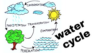20 Inspiration Drawing Water Cycle For Kids Beads by Laura