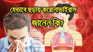 করোনা ভাইরাস কী ও যেভাবে ছড়ায় । What is the Corona Virus and how it spreads?