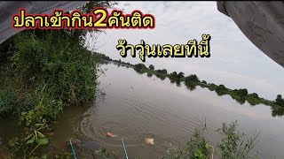 #fishing ตกปลาทับทิมแม่น้ำบางปะกง พอมีต้วไห้สับครับวันนี้#เหยื่อตกปลาKNKสับกระจาย