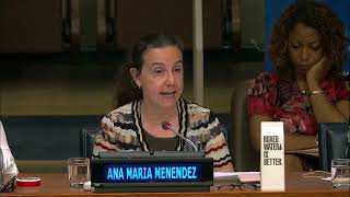 UN Disability Inclusive Strategy COSP12