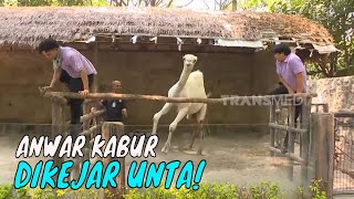 Jadi Zoo Keeper, Billy Ngakak Lihat Anwar Takut Sama Unta | BIKIN SENENG (24/08/24) Part 1