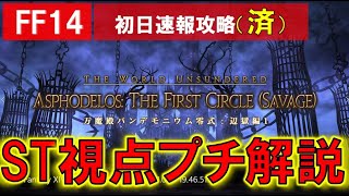 FF14 パンデモニウム零式 辺獄編1層 超雑攻略動画クリア版 ST視点 初日